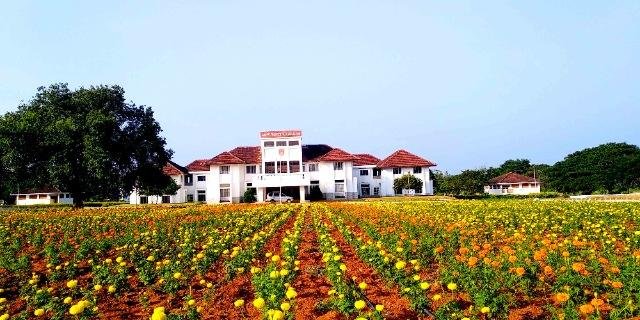 Vanavarayar Institute of Agriculture (VIA)