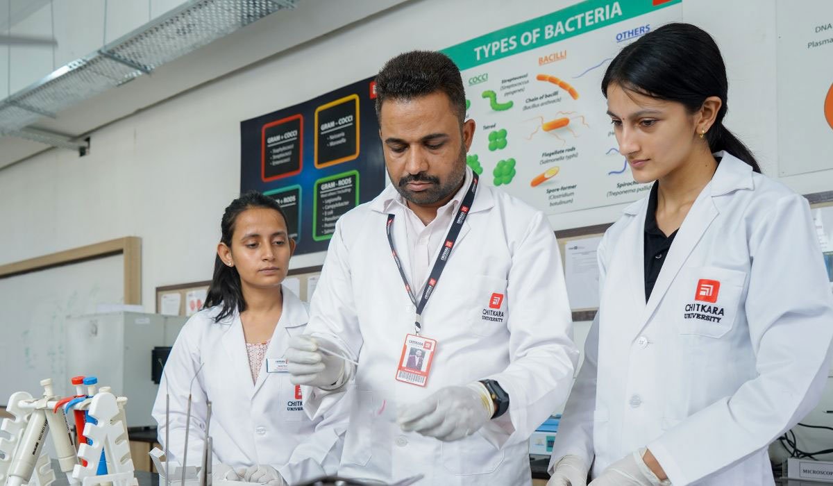 B.Pharmacy